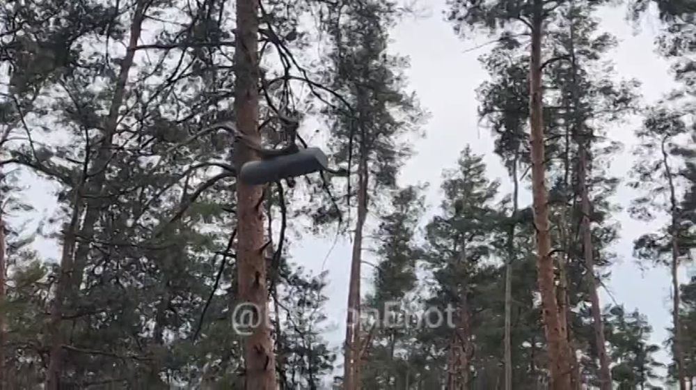 ���� �� �������: ���� ������ ��������� ���������� �������� ������� ��� ���������� ���