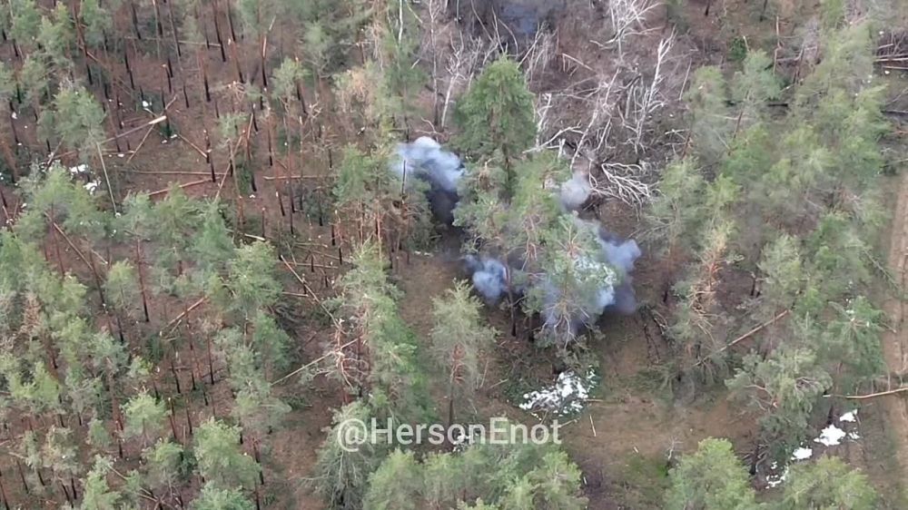 ���� �� �������: ���� �����, ������ ����� ��������