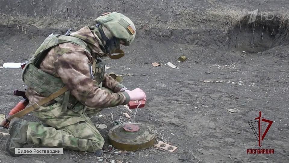 ������ ���������� �� ������ �� ���������� ����������� � ���������� �������� ����������� ����� 800 ������������� ���������