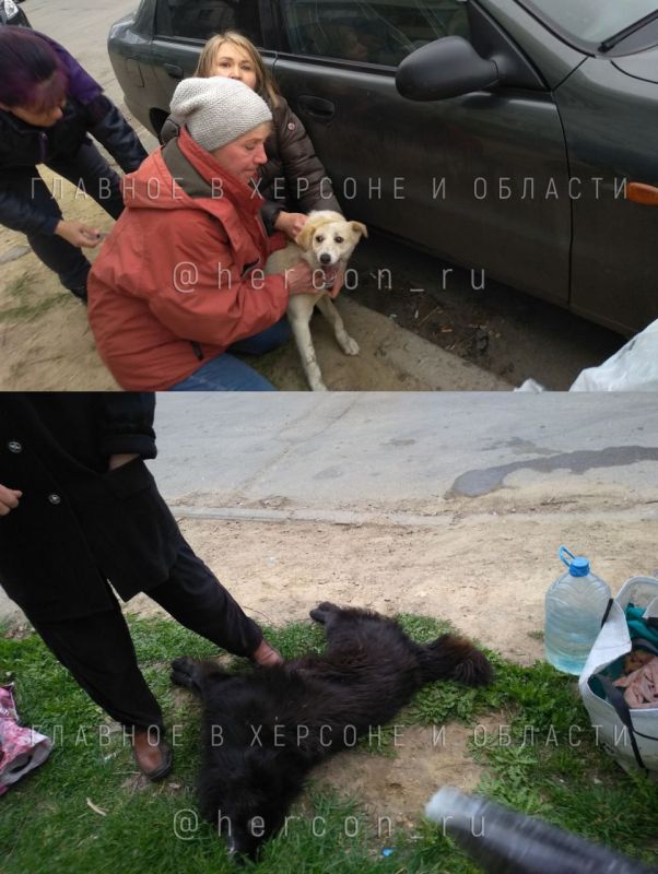 � �������������� ������� ������ ��������� ����� � ����� �������� ����� ����� �� ������