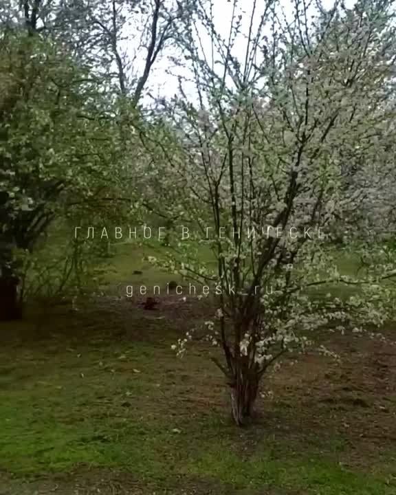 � ���������� ����� ������������ ������ �� ��������������� ����������