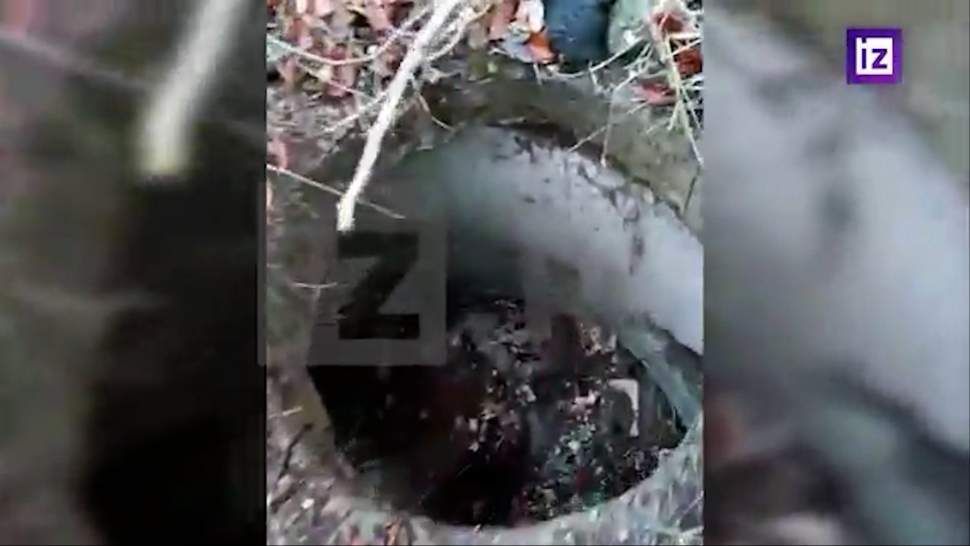 ����� � ������������ ��������� � ���������� �������