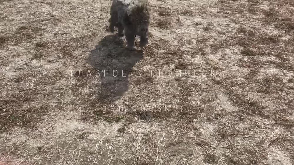 �� ��������� �� ����� ��� ������ ���������� ����...�