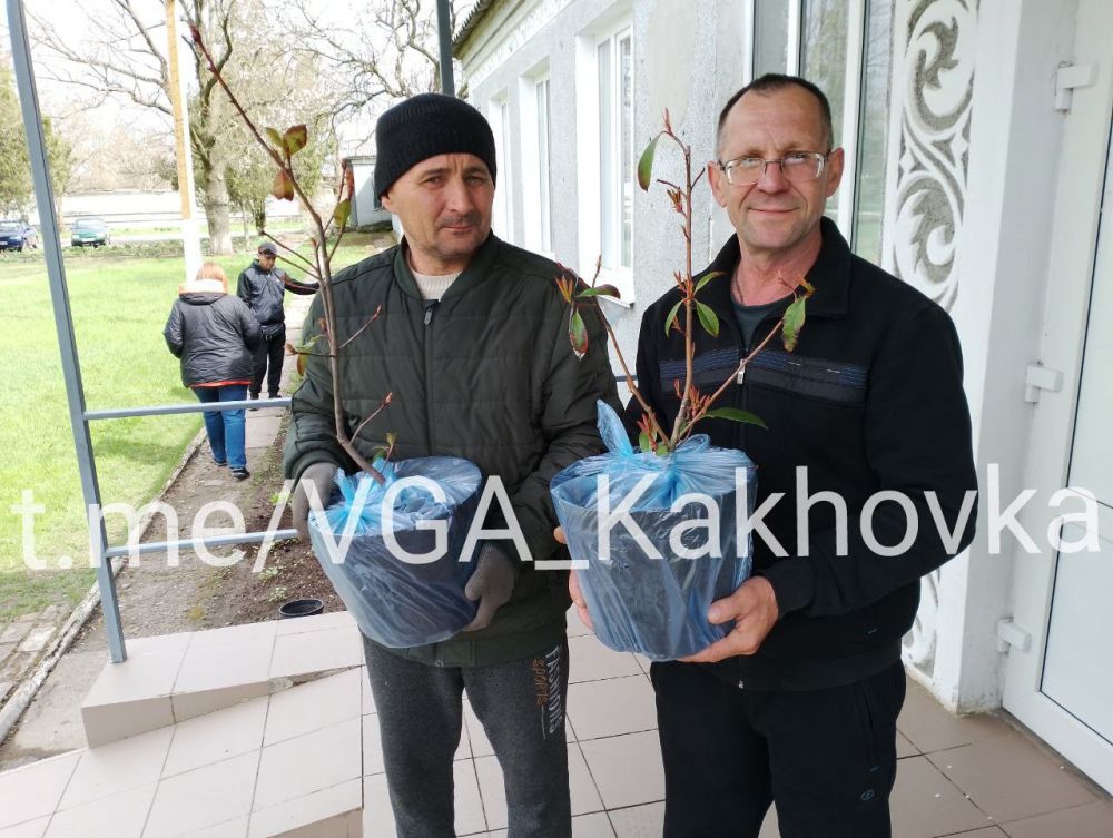 ����� ������������ ������������� ������ ������� � ����������