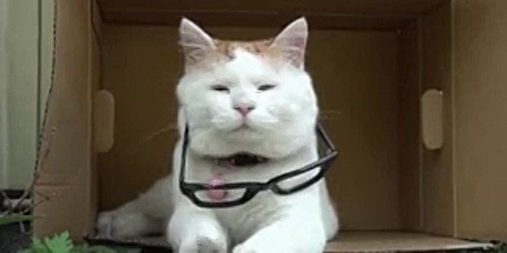 ������� ���� ������������ � ������� ������!