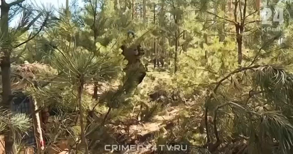 ������ �������: � ���������� ������� ������� ��������������, ����� ����������� �� ��������������� �����, � �������� ��������� ��� ������ ������ ����