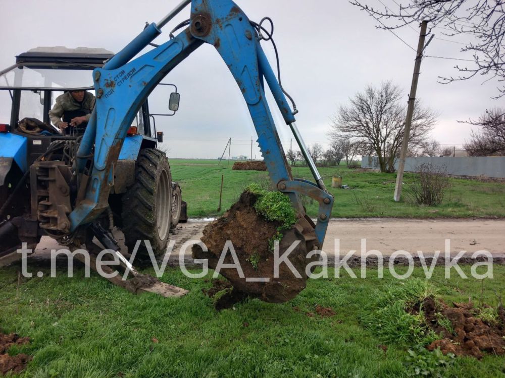 ����������������� ������������ ����������� �����������