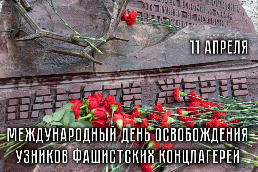 11 ������ ���������� ������������� ���� ������������ ������� ���������� �����������