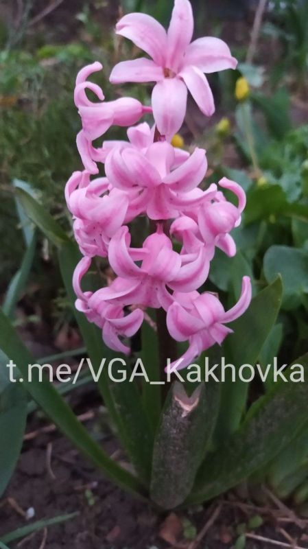 �������� ������ ���������� �������������� ������