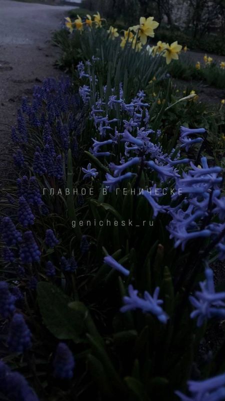 �������� �������� � ���������