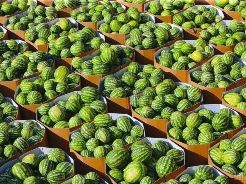 ����� � ������ ���������� ����� ����������� ������� ���