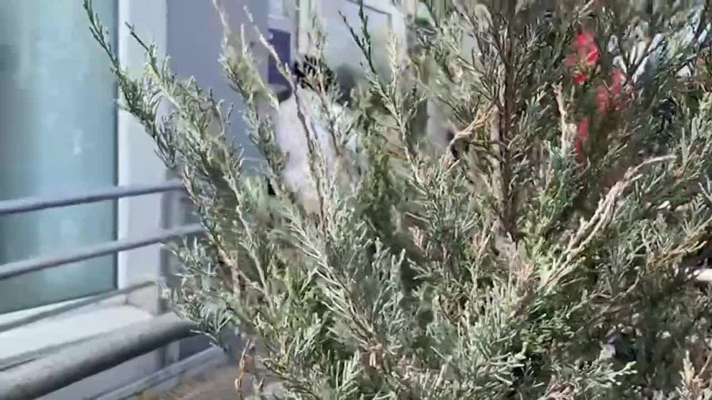 ��� ������ ������ ��� � ���������� ������� � ����� �����! ������ ��������� �� ������� � �������� �������