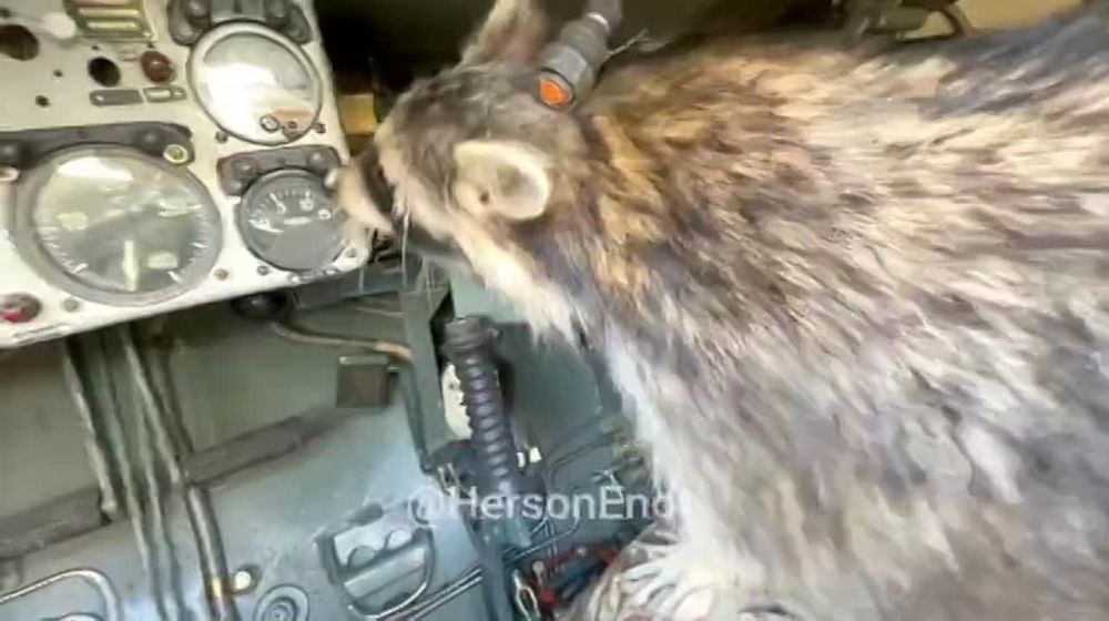 ���� �� �������: ������ � ����! ������� � ������ ����� ��������� ������ - ���2