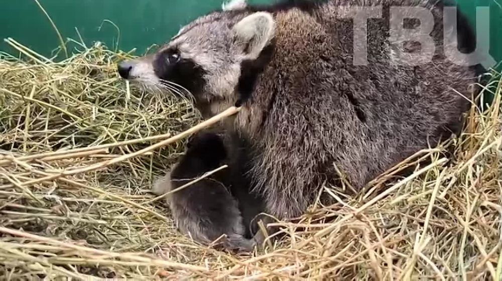 ������ ��������: ��������� ���������� ������ � �� ���������! ���������� ���, ��� �� ����, ����, ������, ����� � ������� ������ �� ���������! ������ ��� �������, ������ �������