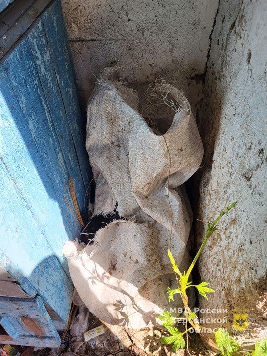 � ��������� ���������� ������� ����� ��� ���� ������ ��� � ������������