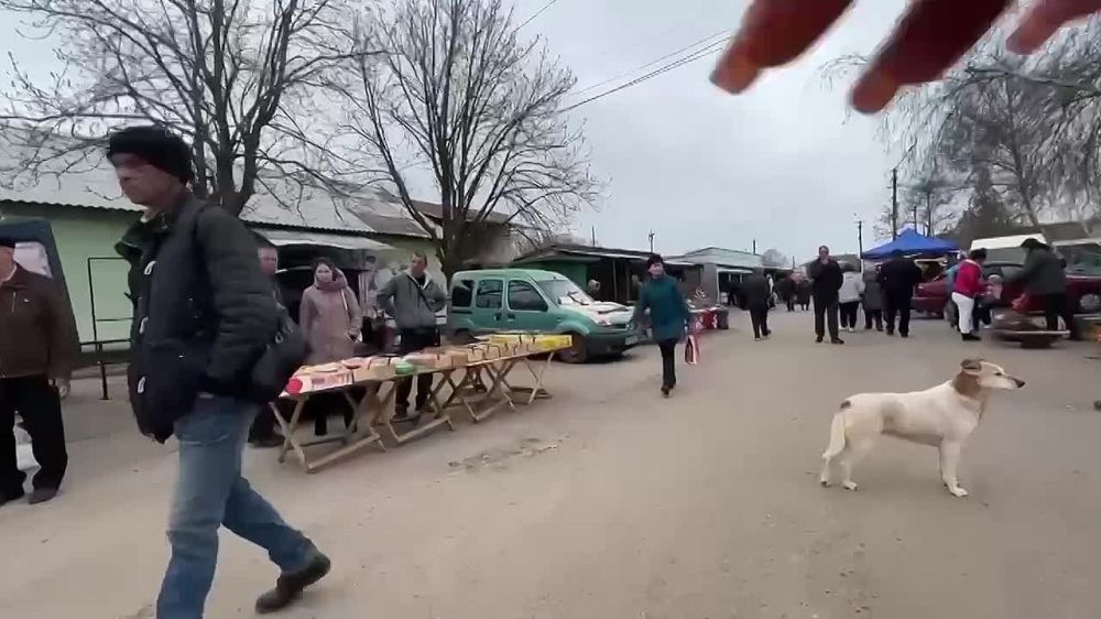 ��� ���� � ������� ���������� �������: ����� �����, ����� �� ������ �����, �������� �� �������� ���������� ����������