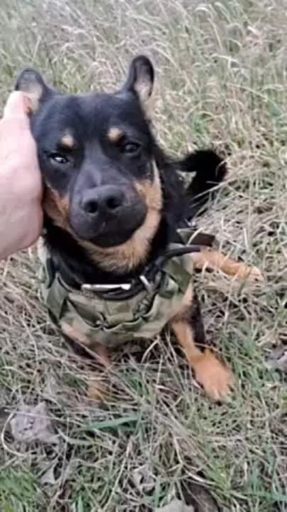 ������� ���������� ������ �� ���������� �����������