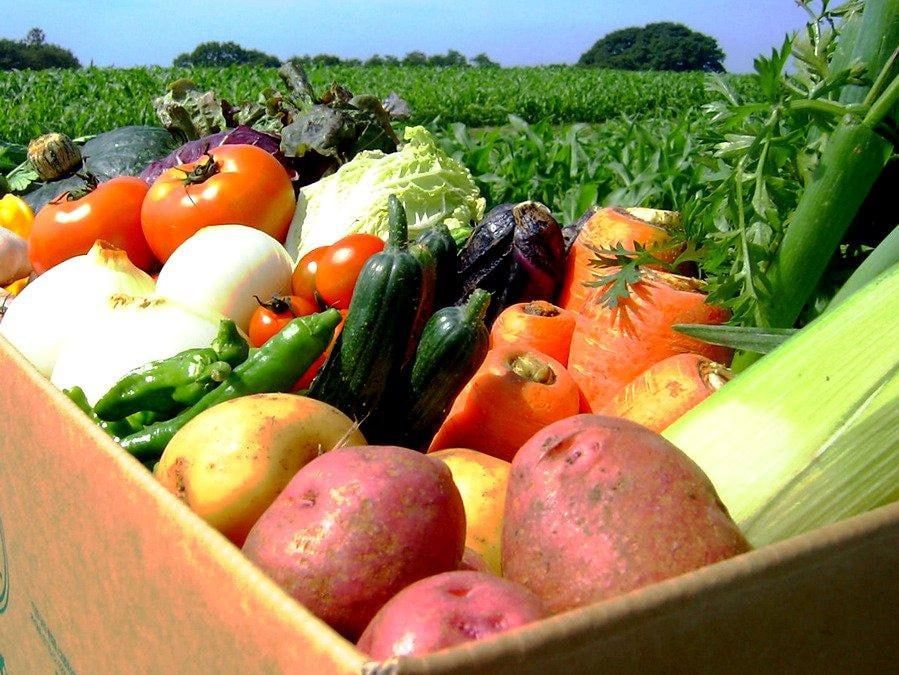 ��� � �������: ��� ���� ���������� � ����������� �������� �� ������� ������� �� �� ���������