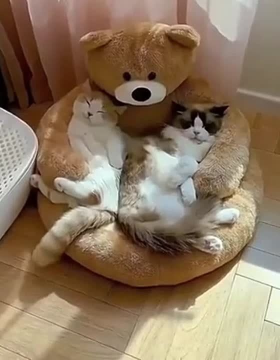 �� ���, ������! ���� � � �������� ���������, � �� ���� ������� ��� � ���� ������