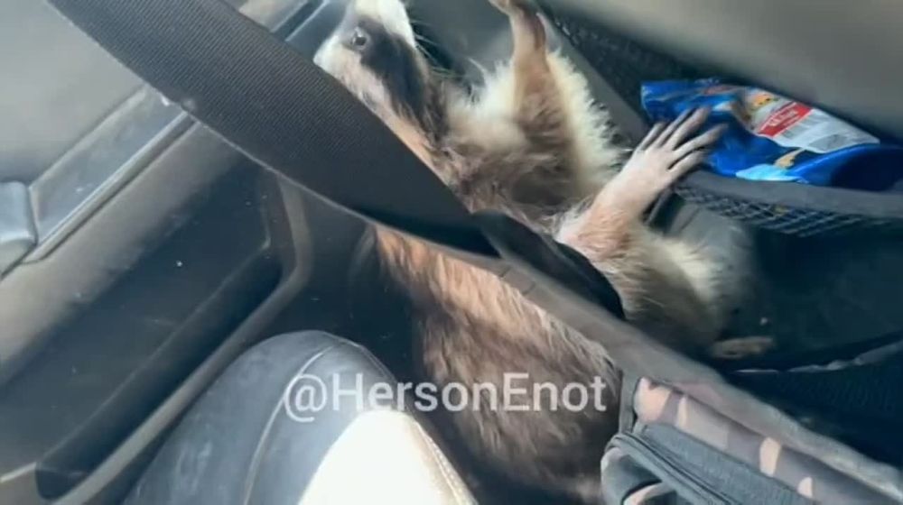 ���� �� �������: ����� ������ ���� ��������� ������� ��� � ����� ��������