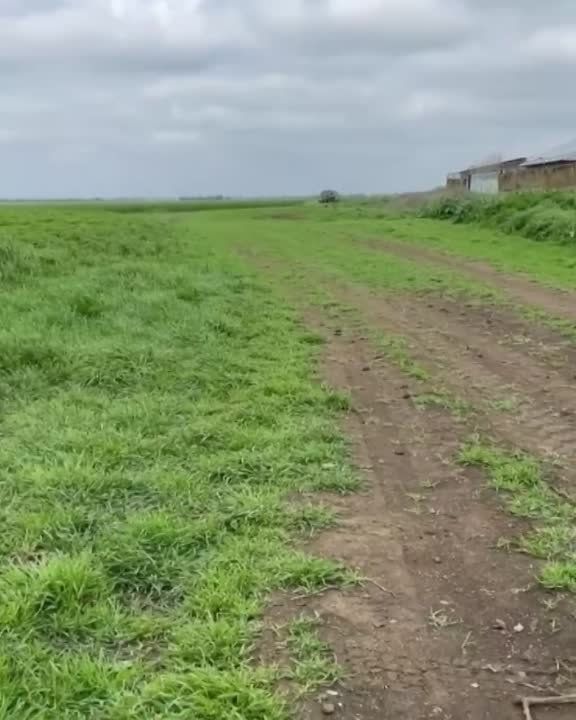 � ���� �������� ���������� ����������� �������� ����������