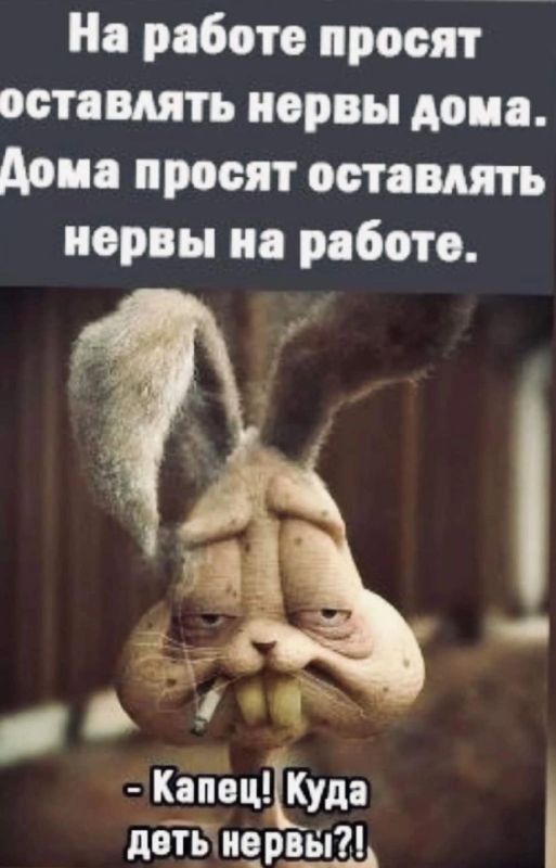 ���, ���������� �������� ������ ������� � �����