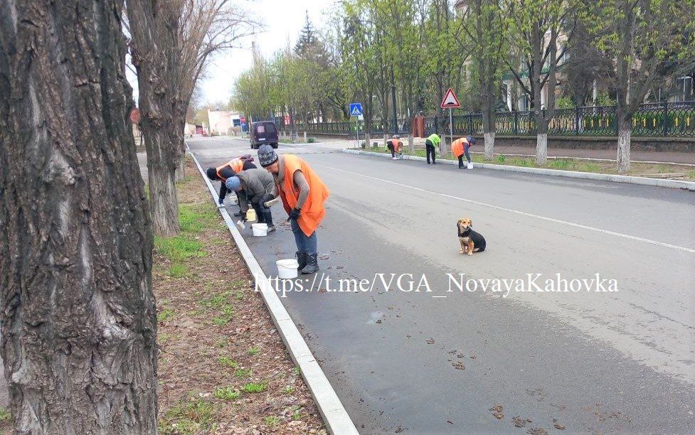 � ������������� ��������� ������ ������� ��������� � �������� ����������