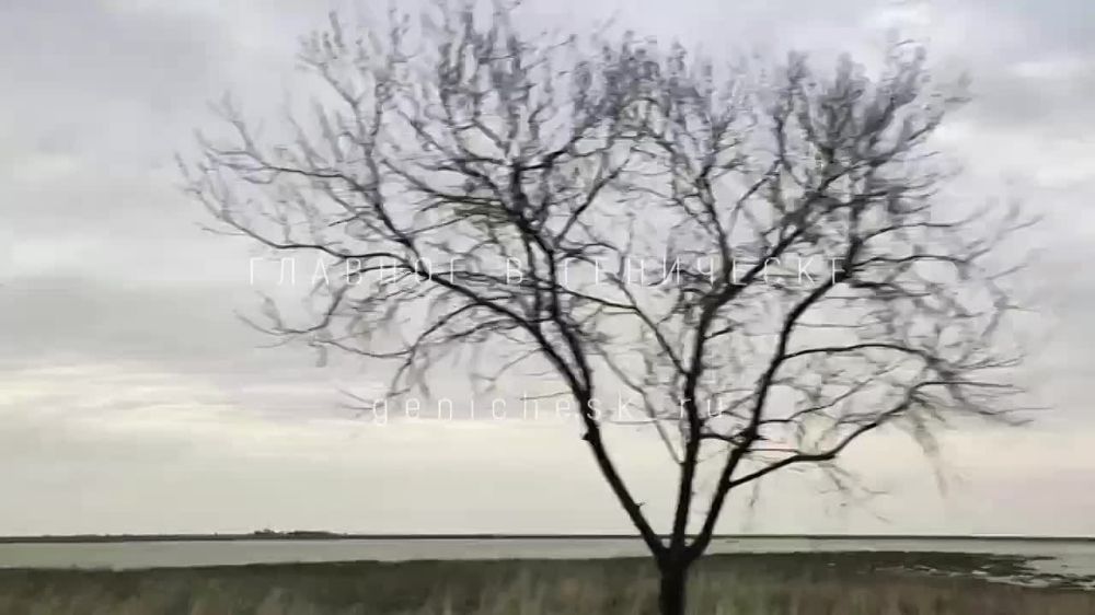 ������������ ��������� ��������� ���������