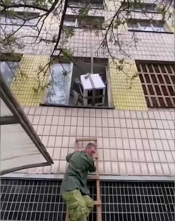 ����������� ����� ������������ ������ ������� ������� �� ������� ������� ��������� ���. ������� ������ �������