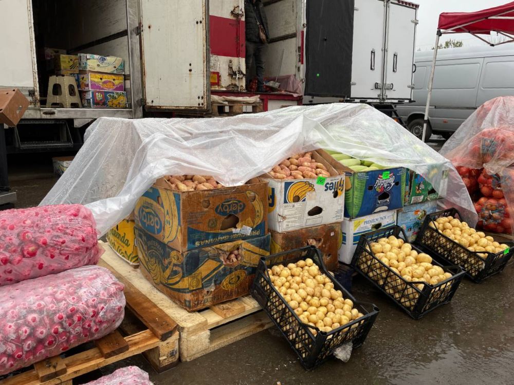 ����� 700 ���� ���������������� ����������� ��������� � ���� �� ����� ��������