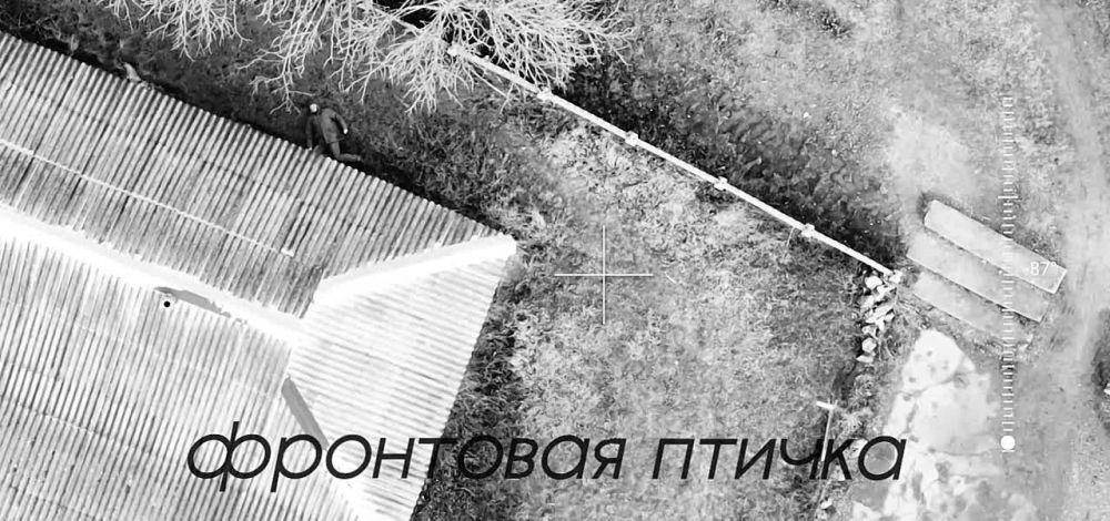 ������ ��� vs ���-17. ���������� �����������