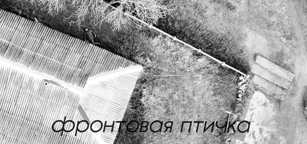 ���������-������ ������ ������� �� ���������� �����������