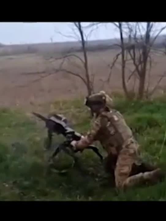 �������� �����: ����� ����� - ������� ����� ���� �� �������� �������� �� ����������� �����������