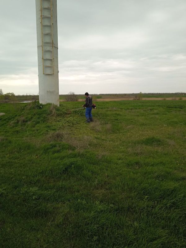 � �.�-�������� � ����������������� ������������� ������ ���������� ��� ������������ �������