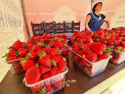 ���������� �������� ����� � ������ ������� ������������� �������� � ��������� ����������