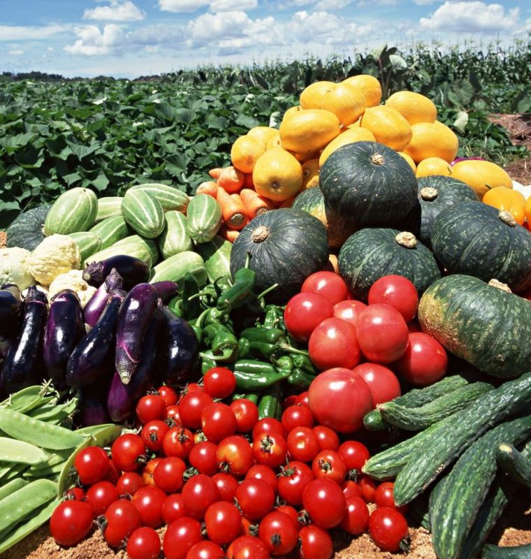 ���������������� �� ���������� ������� ����������� � ���������� �� ���� ���������������������