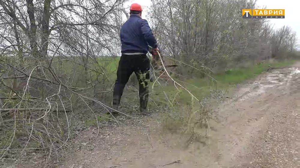 ���������� �������. ���������� ������� �������� ���������� � ������������� ���������������� ���������������� ����� � ������������ ������