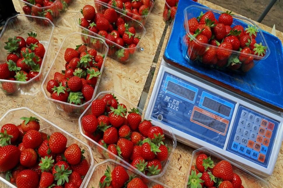 ���������� �������� ����� � ������ ������� ������������� �������� � ��������� ����������