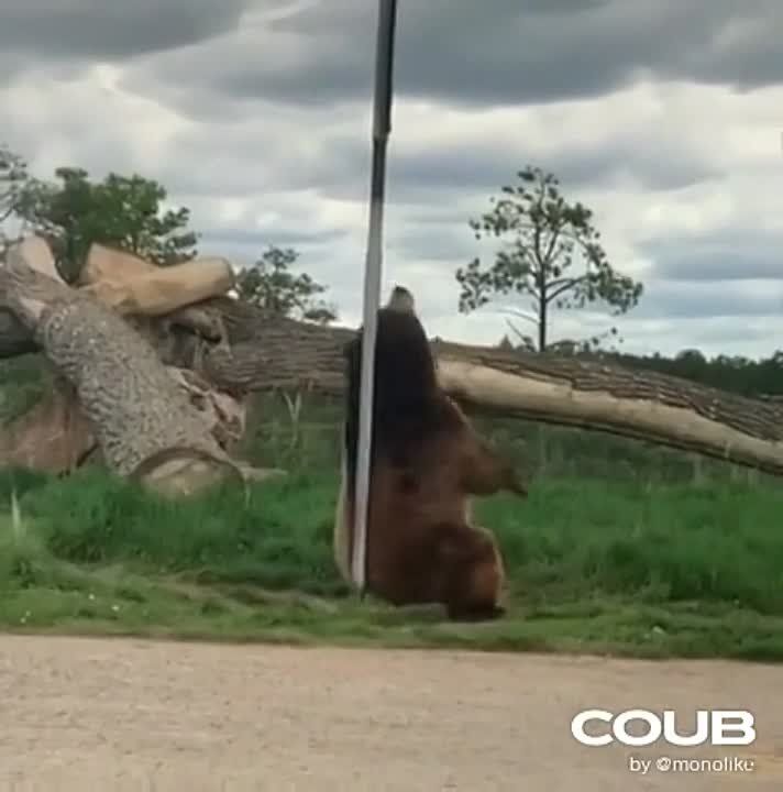 ���������, ����� � "������ ���" ��������, � ����� ������� �� �������?!