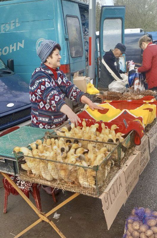 � ���� ��������� ������������� �������������� ������ ���������� �������