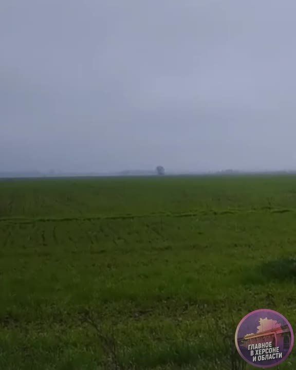 � �������� ����������� ����������� ��������������� ������ ���