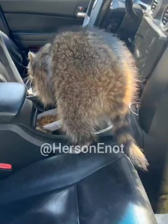 ���� �� �������: ������ ���������� � ����������� � � ����!