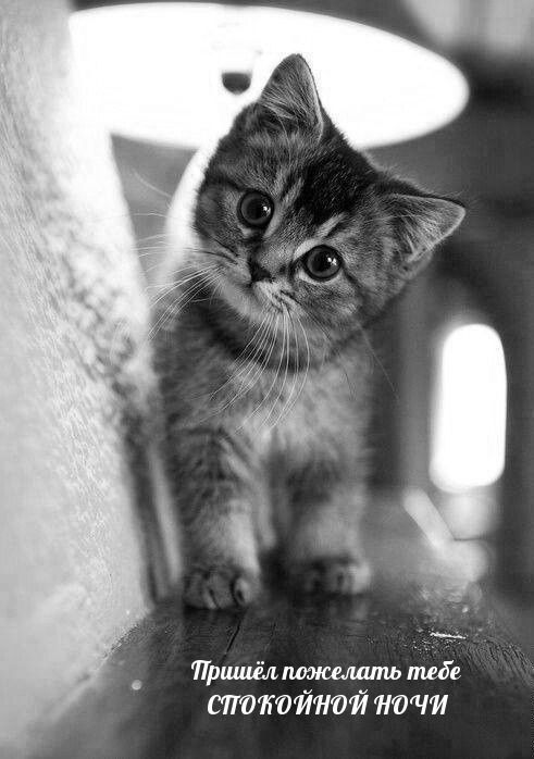 ������ ����. ������� � ������ ���� � �� �������� ������, ���� � ������� ����� ������� ��������. ��� �������