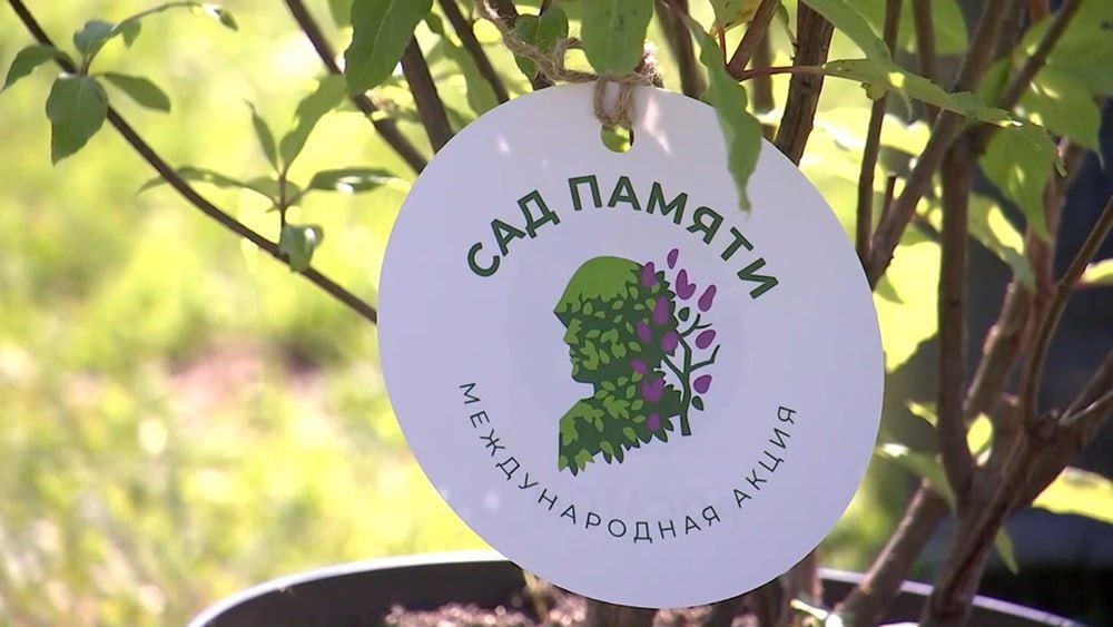 ����� "��� ������" � ���������� �� ������������