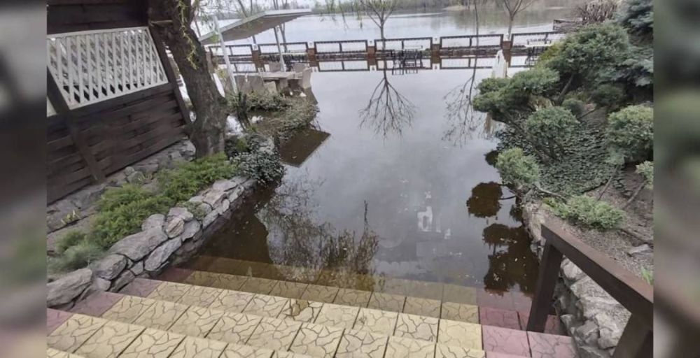 ����� � ������ ������ �������� � ����������� �������� ���� �����