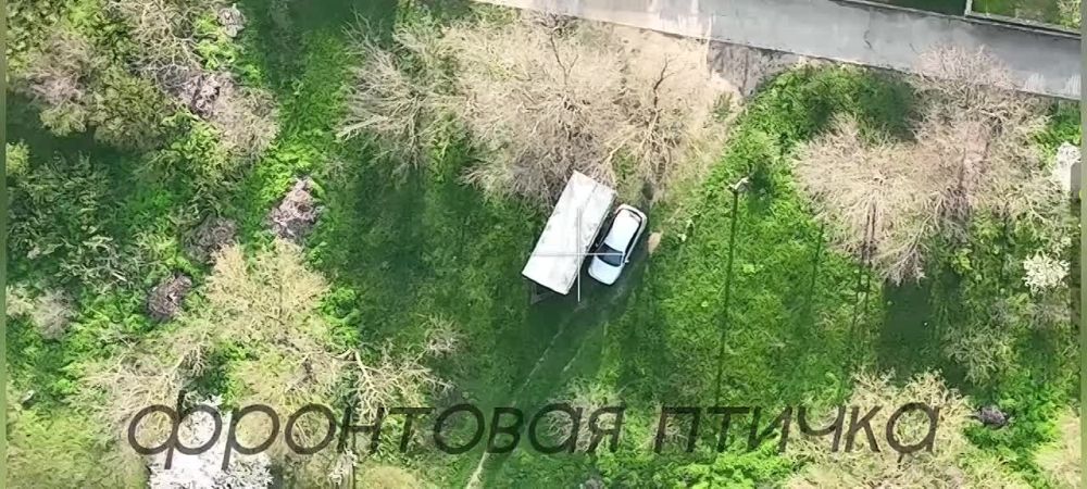 ��������������� ���������� ��� �� ��� ������������ ���������� �����������