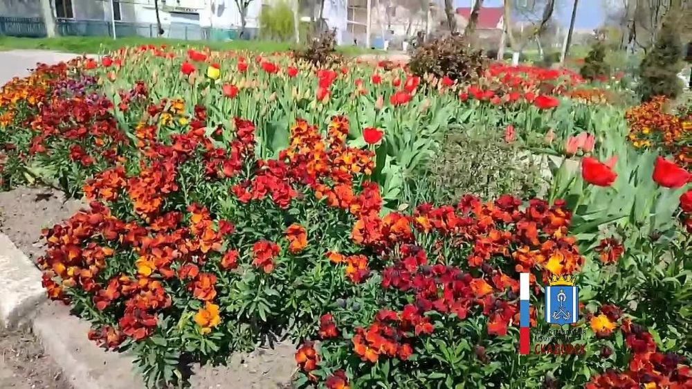 �������� �������!. � �������� ����� ����������� �������. � �������, ��� ���� ��� ��������� � ��������� �� �������� - ������� ������� �����!