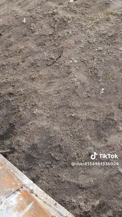 �������� �� ���������� ����������� ���-2 ���