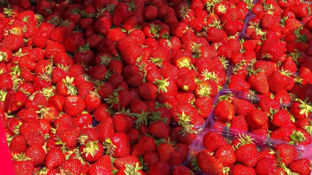 ���������� �������. ������������ ��������� ��������� � ����������� ���������� ������� ��� ���������� ������������ �������� � ����� ������ ������ � ����������� ���������� ��������������������� �������� �������� � ������� �� ������������� ������