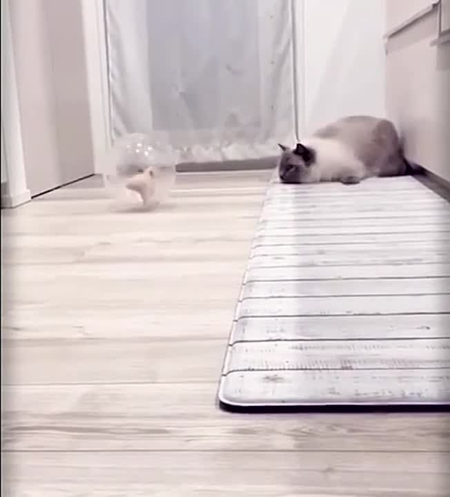 ����� ���...